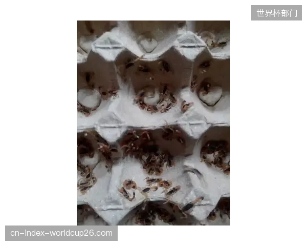 球队营养师需根据不同城市的温度和湿度，动态调整球员的碳水化合物与水分摄入策略。